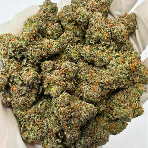 CANNIBEAST 1GR THCA FLOWER