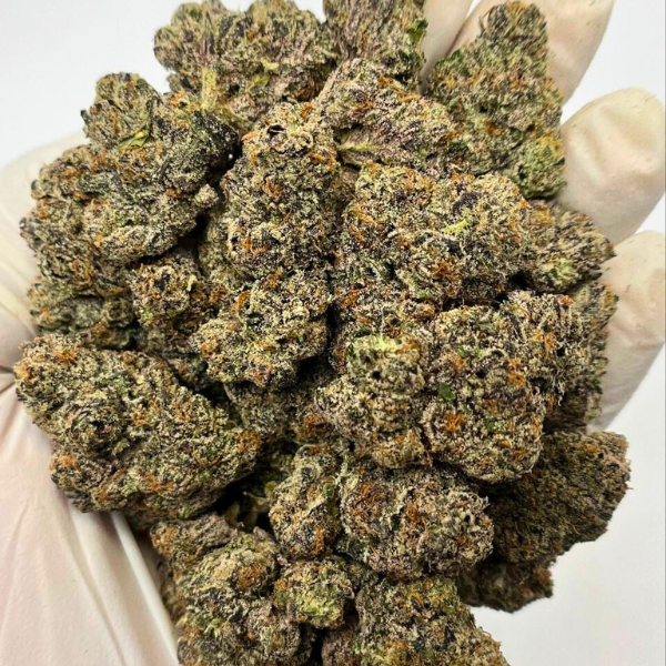 CANNIBEAST 1GR THCA FLOWER