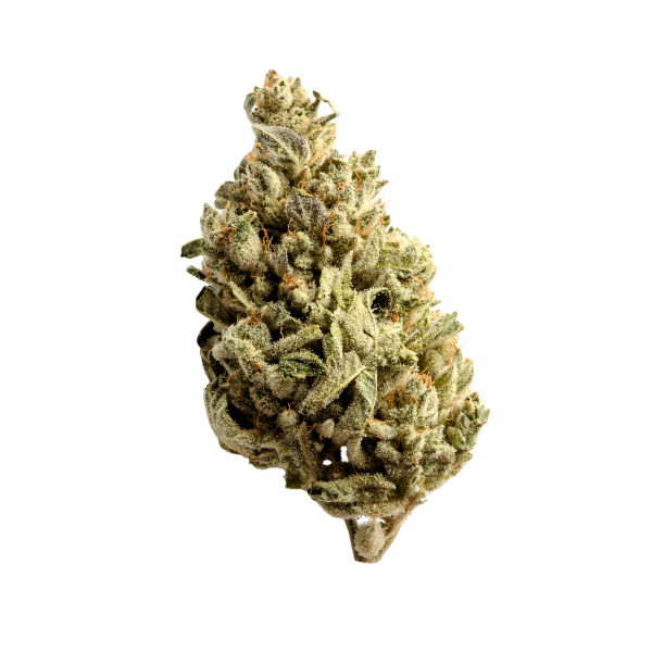 CANNIBEAST 1GR THCA FLOWER