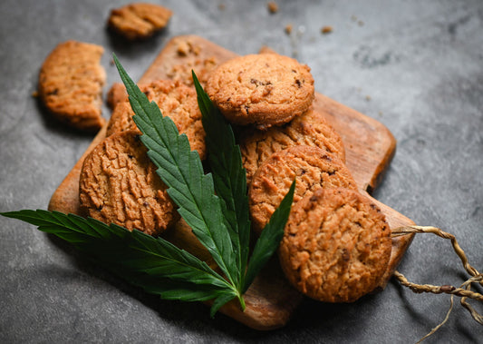 6 Ways CBD Snacks Can Improve Your Daily Routine