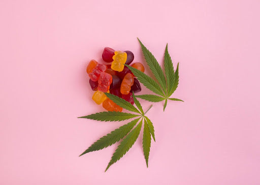 5 Reasons Why Cannibeast Organic CBD Gummies Are a Must-Try