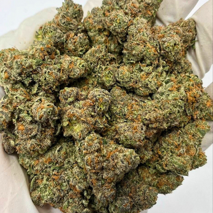 CANNIBEAST 1GR THCA FLOWER 60 x 1G EACH
