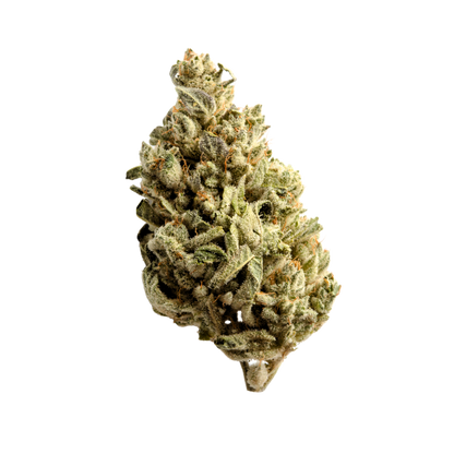 CANNIBEAST 1GR THCA FLOWER
