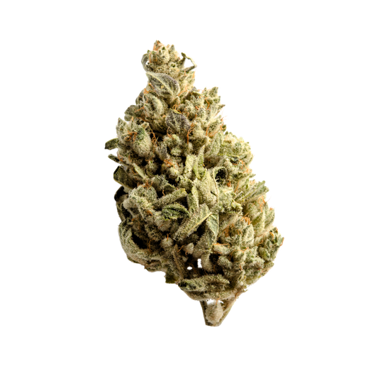 CANNIBEAST 1GR THCA FLOWER